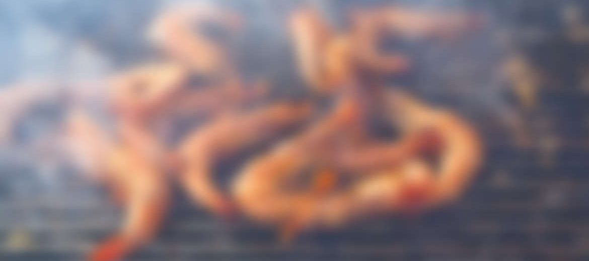 Mackerel / Saba Sushi